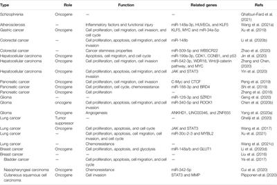 New Insights into LINC00346 and its Role in Disease